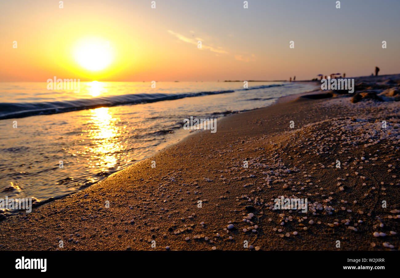 Último atardecer en Cerdeña Mari Mar Ermi, cabras, Oristano, Cerdeña Foto de stock