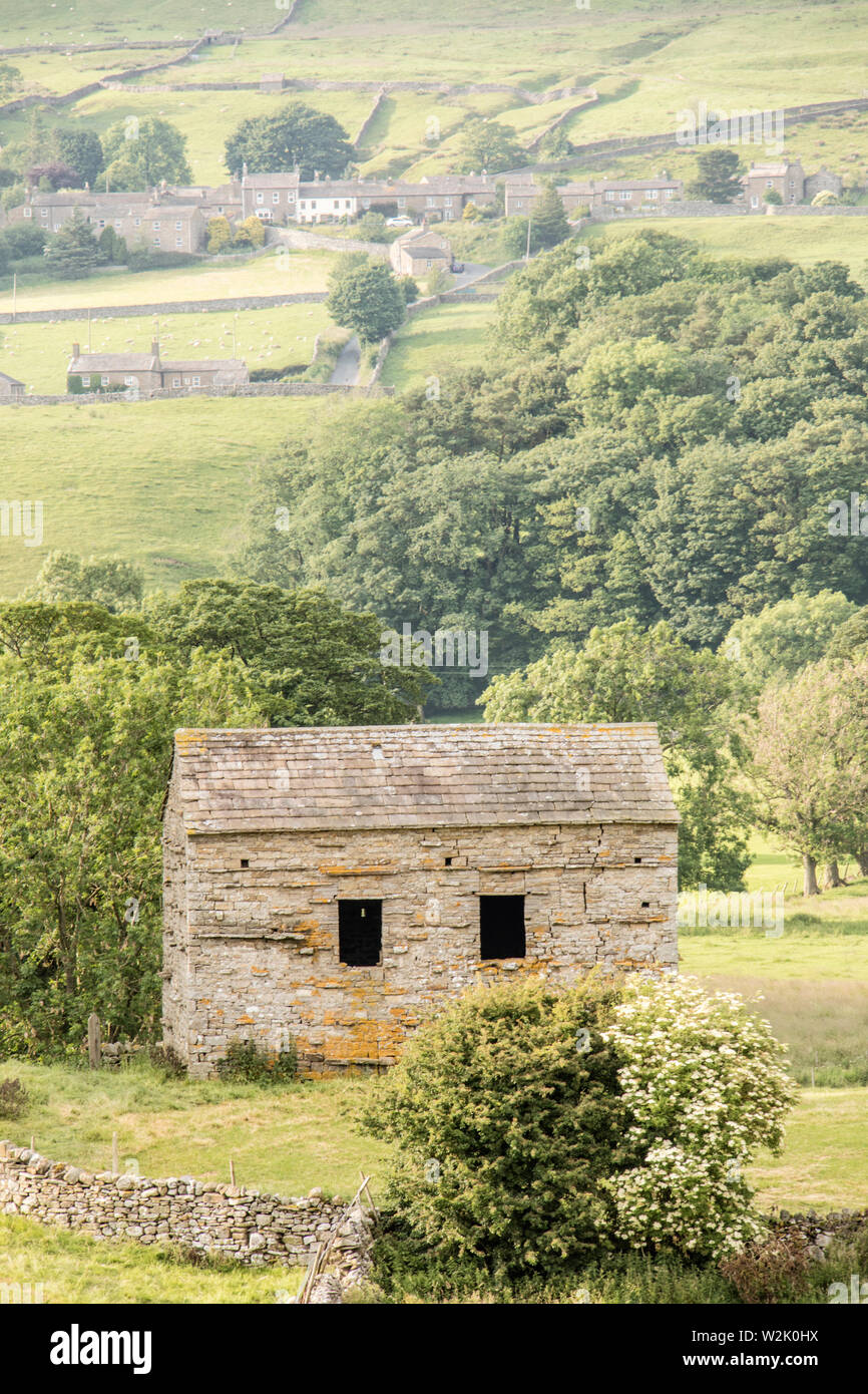 Por la tarde la luz a través de Wensleydale, Yorkshire Dales National Park, North Yorkshire, Inglaterra, Reino Unido. Foto de stock