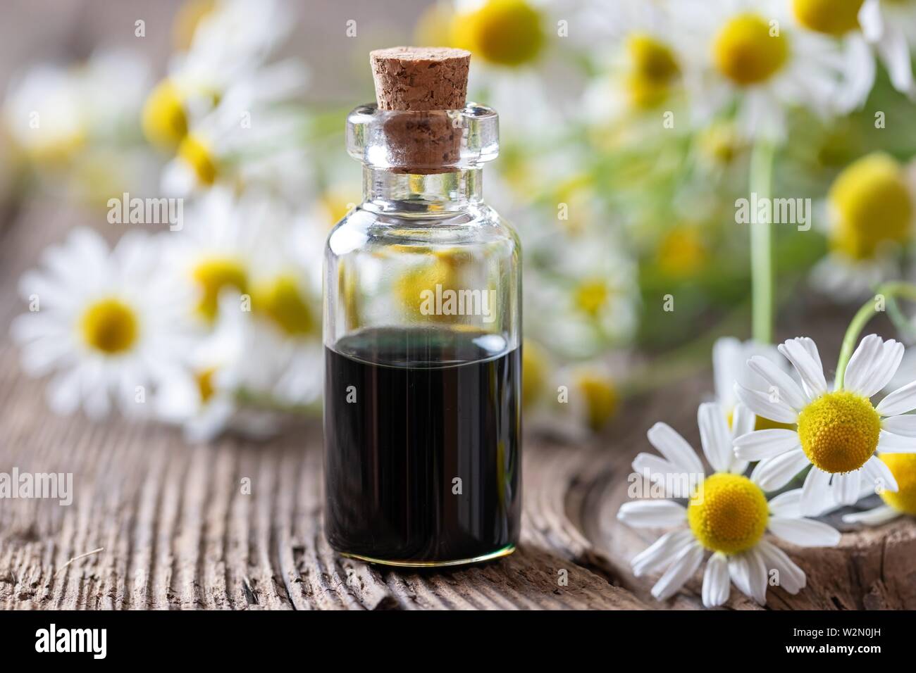 Azul oscuro, una botella de aceite esencial de manzanilla alemana y flores  frescas Fotografía de stock - Alamy