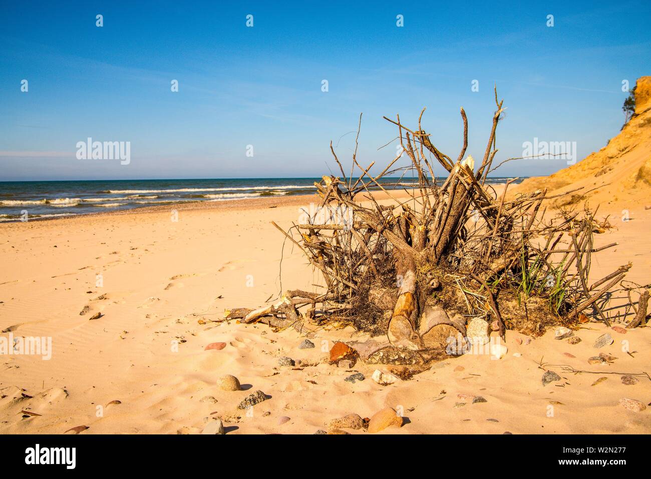 Solitario, inafectado playa del Mar Báltico en Polonia. Foto de stock