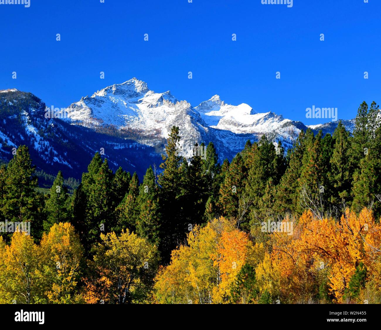 Bitterroot Mountains Montana Fotos E Imagenes De Stock Alamy