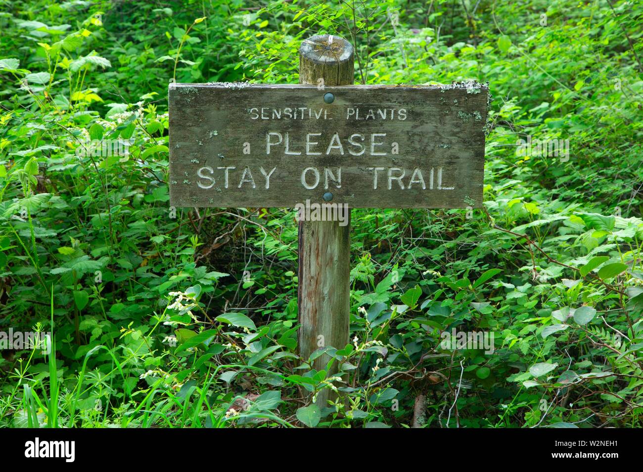 Firmar A Lo Largo De Senderos Naturales Bridal Veil Falls State Park Columbia River Gorge National Scenic Area Oregon Fotografia De Stock Alamy