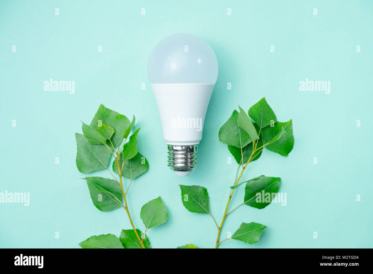 Bombilla LED y hojas verdes - Concepto de ahorro de energía. Imagen abstracta que simboliza la conciencia ambiental y el consumo económico de la electricidad Foto de stock