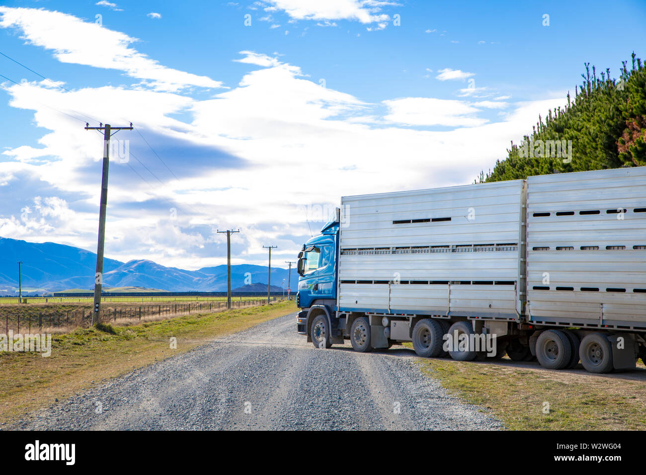 Sheffield, Canterbury, Nueva Zelandia, el 11 de julio de 2019: Un camión ganadero Carrfields respaldados en patios ganaderos para cargar en un camino de ripio rural Foto de stock