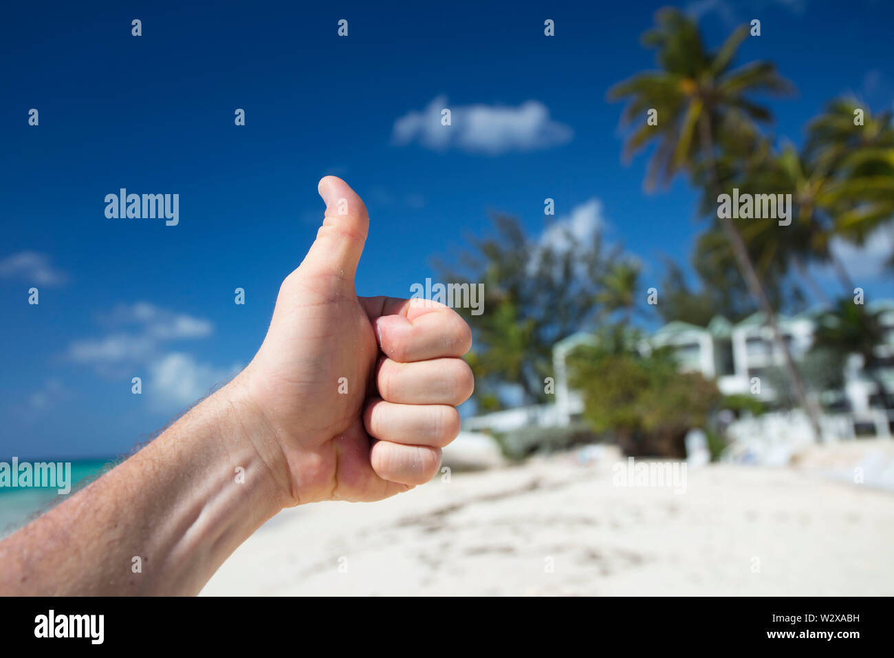 Verano en la isla de Barbados. Vacaciones exóticas. Las palmeras. Agua de color turquesa. Soleado cielo azul. Hermosa playa de arenas blancas. Foto de stock