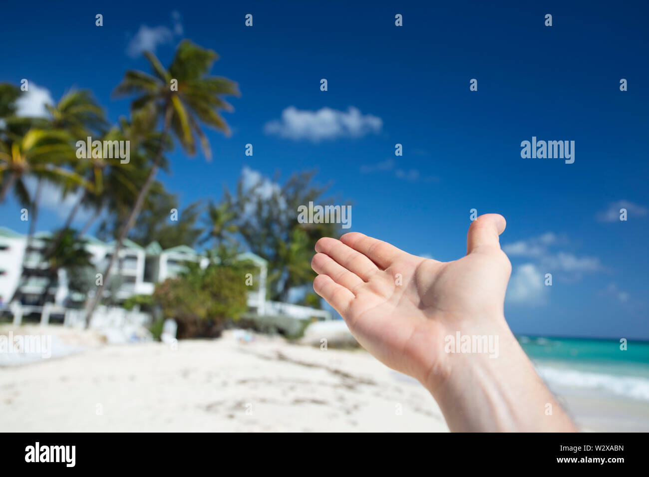 Verano en la isla de Barbados. Vacaciones exóticas. Las palmeras. Agua de color turquesa. Soleado cielo azul. Hermosa playa de arenas blancas. Foto de stock