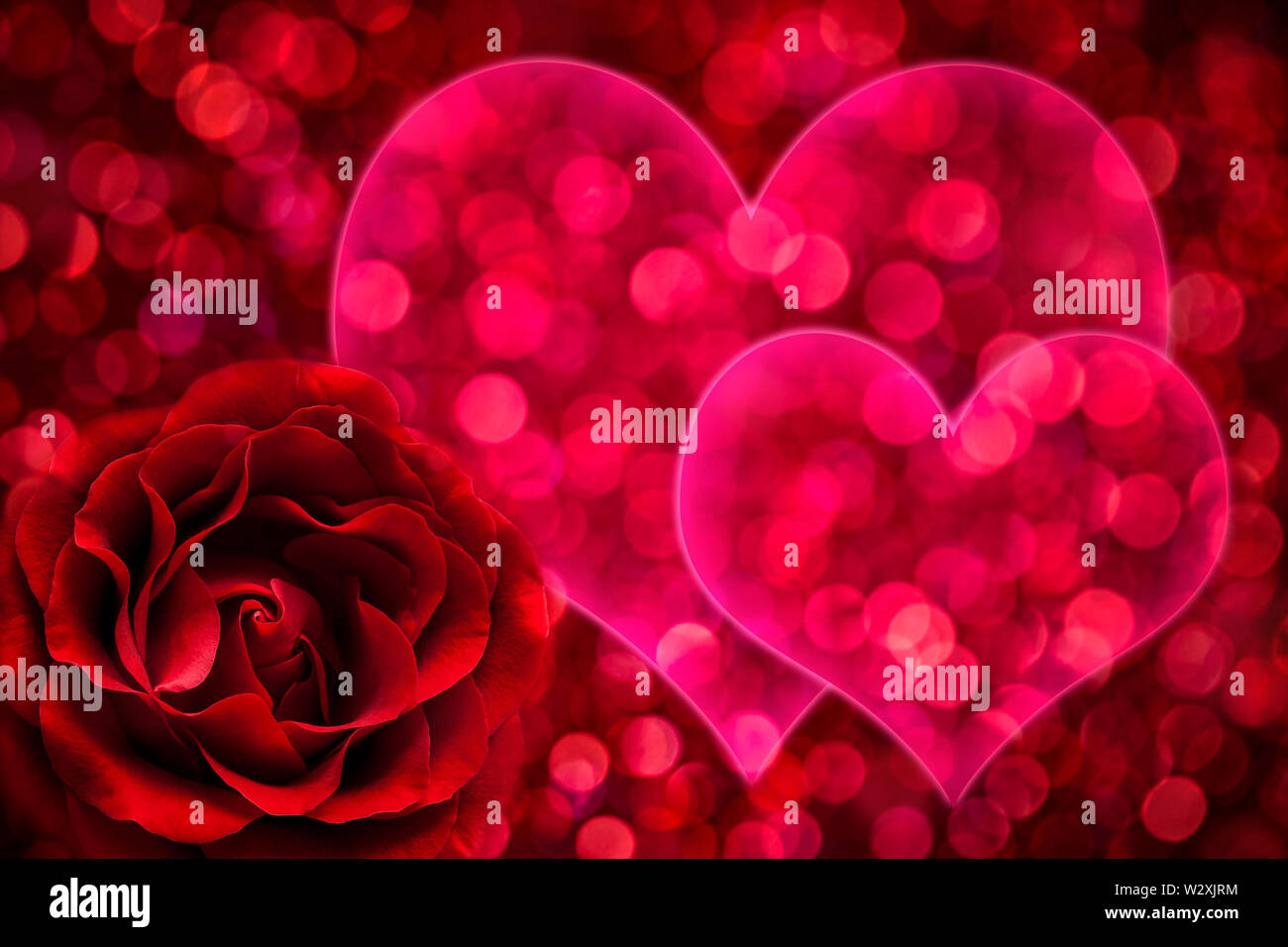 Rosa roja sobre fondo bokeh de color rosa con forma de dos corazones, el día de San Valentín y el concepto de amor. Foto de stock