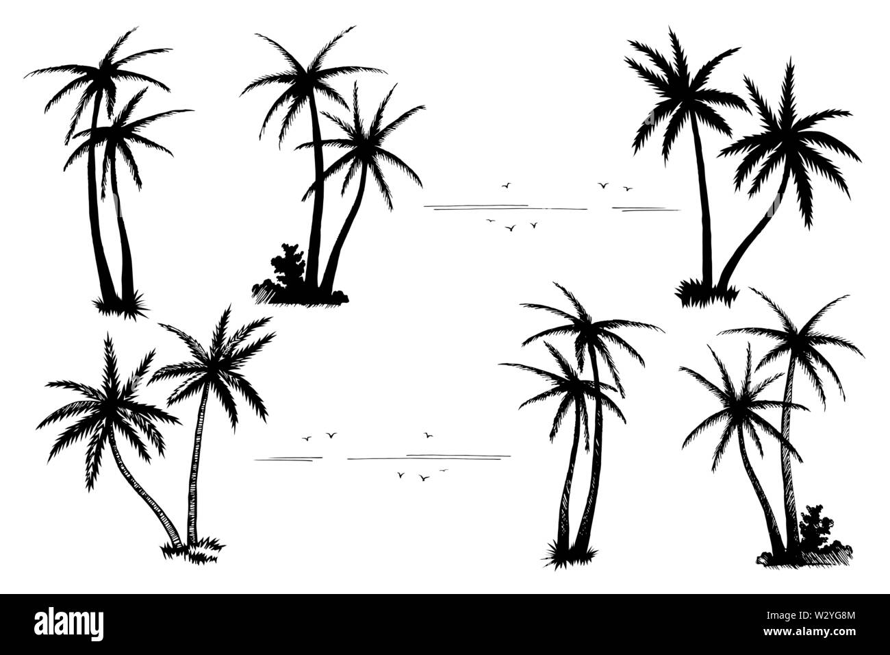 Palma Tropical conjunto siluetas negras Ilustración del Vector