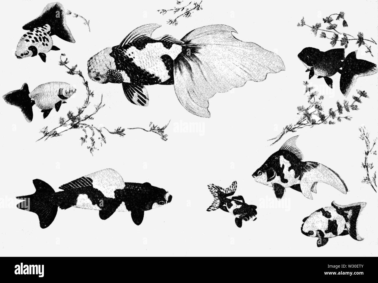 Pinturas japonesas Imágenes de stock en blanco y negro - Alamy