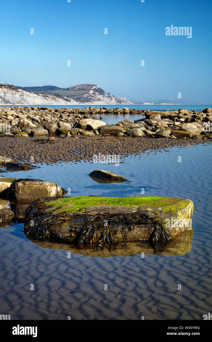 Reino Unido,Dorset,Lyme Bay en la marea baja mirando hacia la tapa de oro Foto de stock