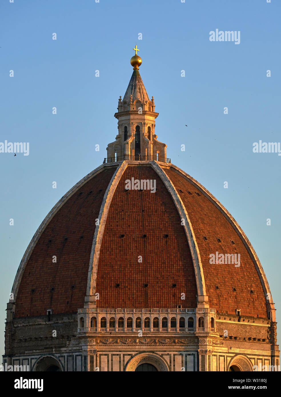 La cúpula de la Catedral de Florencia (Cattedrale di Santa Maria del Fiore) al amanecer con un gran número de vencejos (Apus apps) volando alrededor. Foto de stock