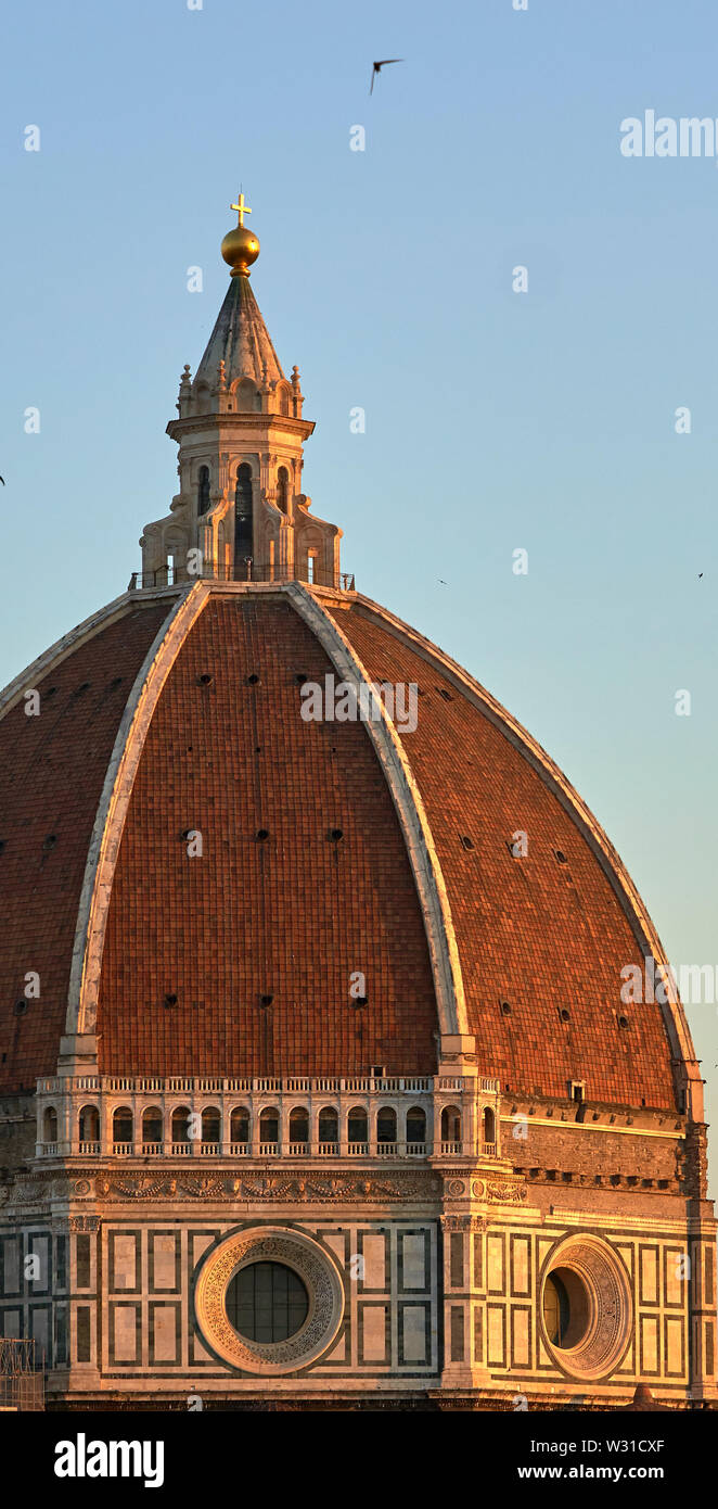 La cúpula de la Catedral de Florencia (Cattedrale di Santa Maria del Fiore) al amanecer con un gran número de vencejos (Apus apps) volando alrededor. Foto de stock