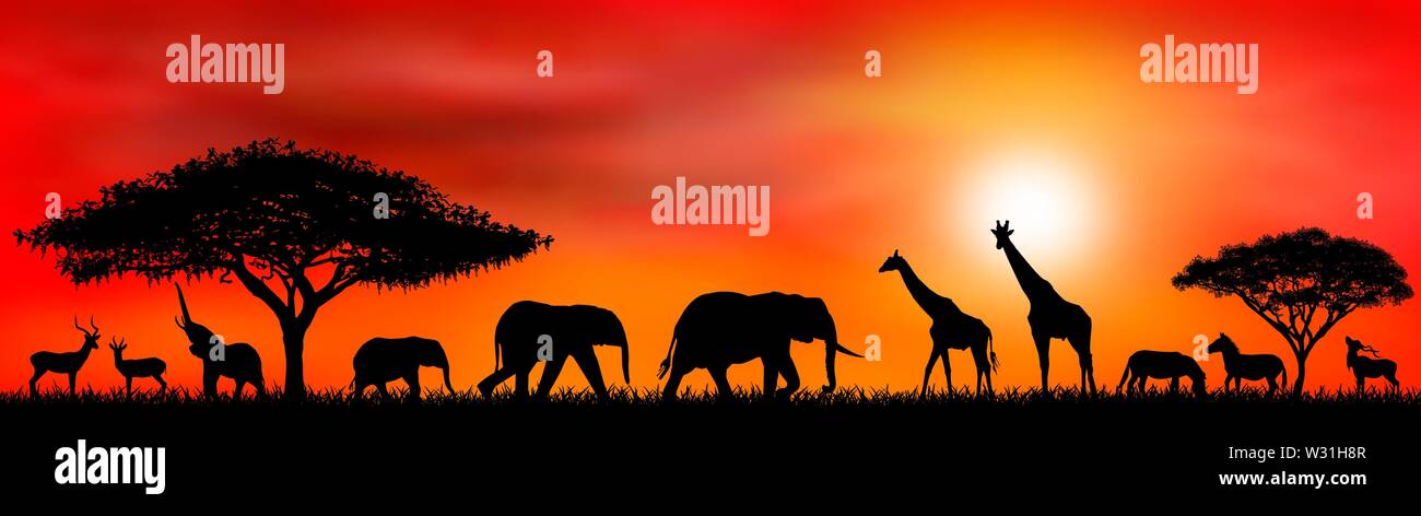 Siluetas de animales salvajes de la sabana africana. Paisaje africano con animales y árboles al atardecer. Ilustración del Vector