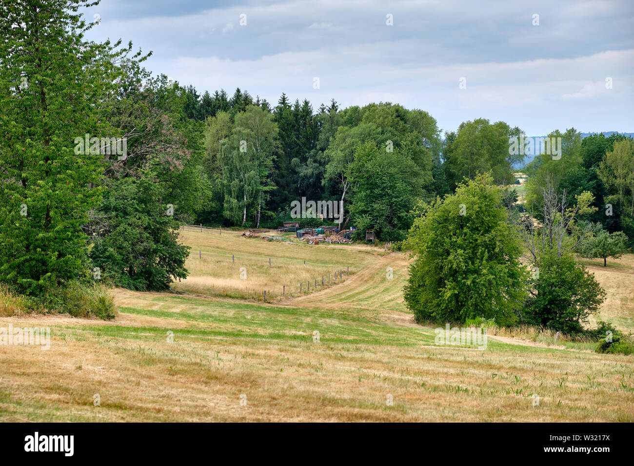 Paisaje shot en el Spessart campiña con cortar árboles verdes prados y en un día de verano nublado Foto de stock