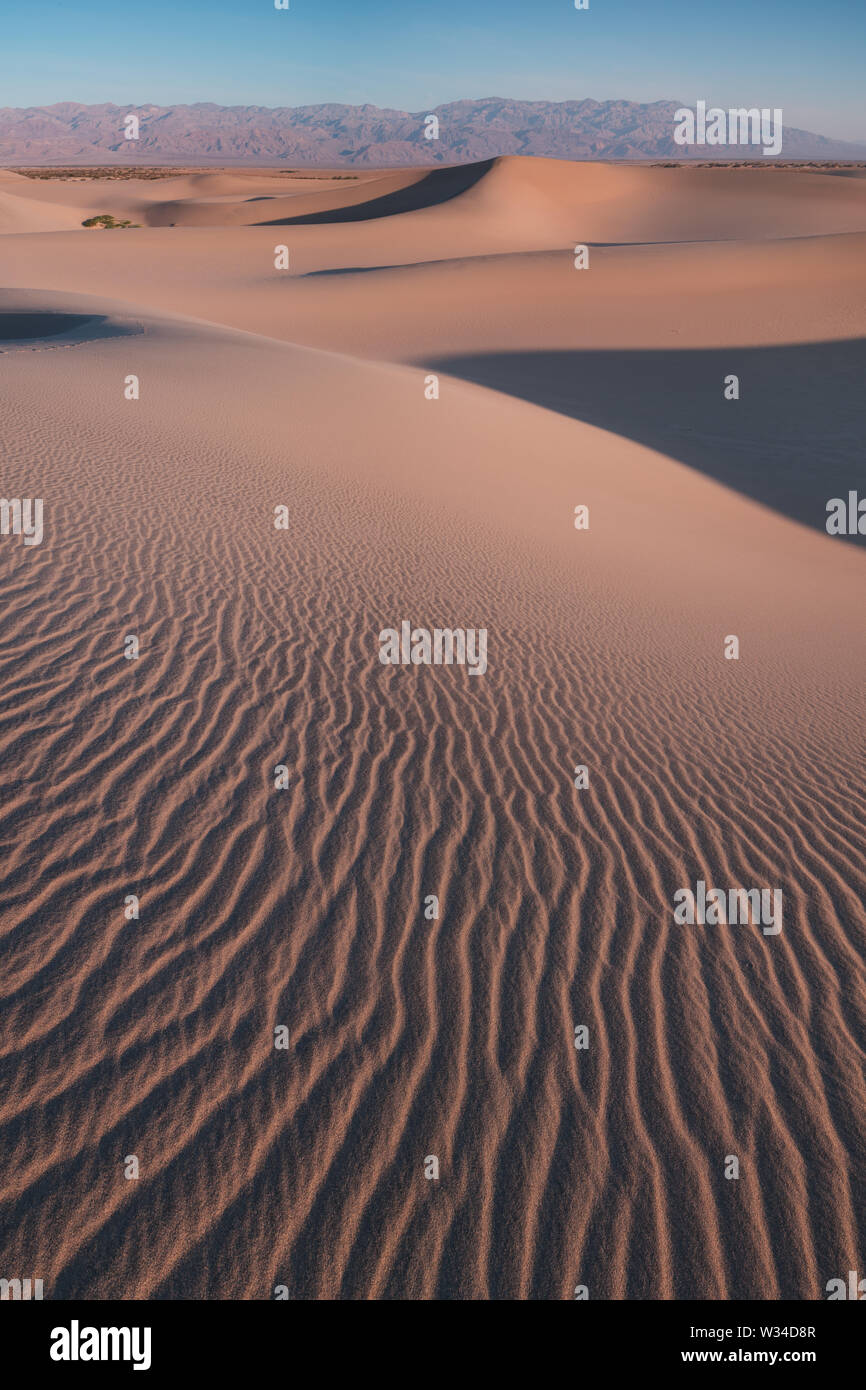 La primera luz del día a lo largo de dunas de arena y montañas en Mesquite flat dunes, Parque Nacional Valle de la Muerte, California, EE.UU Stovepipe Wells dunas de arena Foto de stock