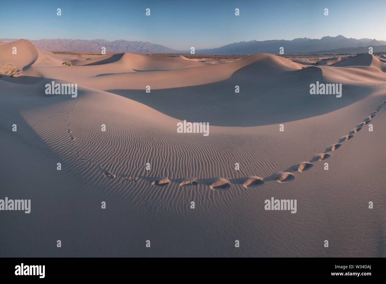 La primera luz del día a lo largo de dunas de arena y montañas en Mesquite flat dunes, Parque Nacional Valle de la Muerte, California, EE.UU Stovepipe Wells dunas de arena Foto de stock