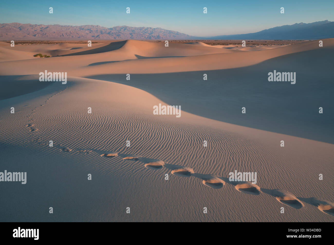 La primera luz del día a lo largo de dunas de arena y montañas en Mesquite flat dunes, Parque Nacional Valle de la Muerte, California, EE.UU Stovepipe Wells dunas de arena Foto de stock