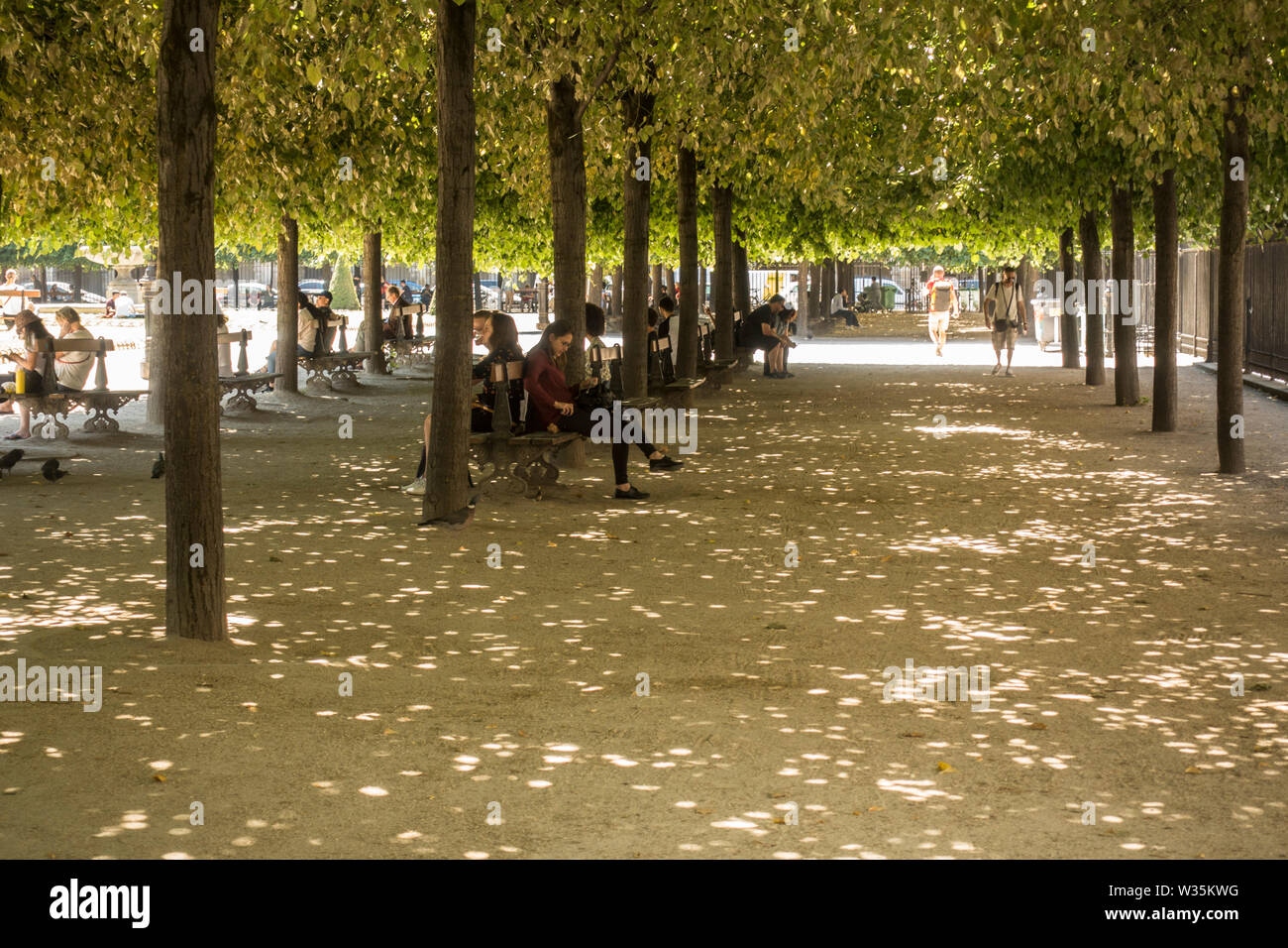 Los turistas en verano, la ola de calor en la Place des Vosges, París, Francia. Foto de stock