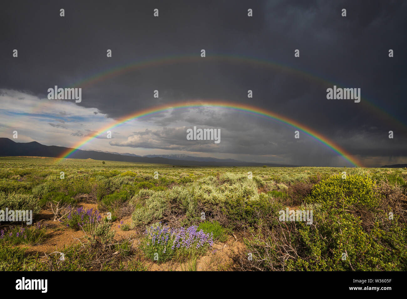 Desierto de doble arco iris sobre la salvia cepillo y caminos de tierra Foto de stock