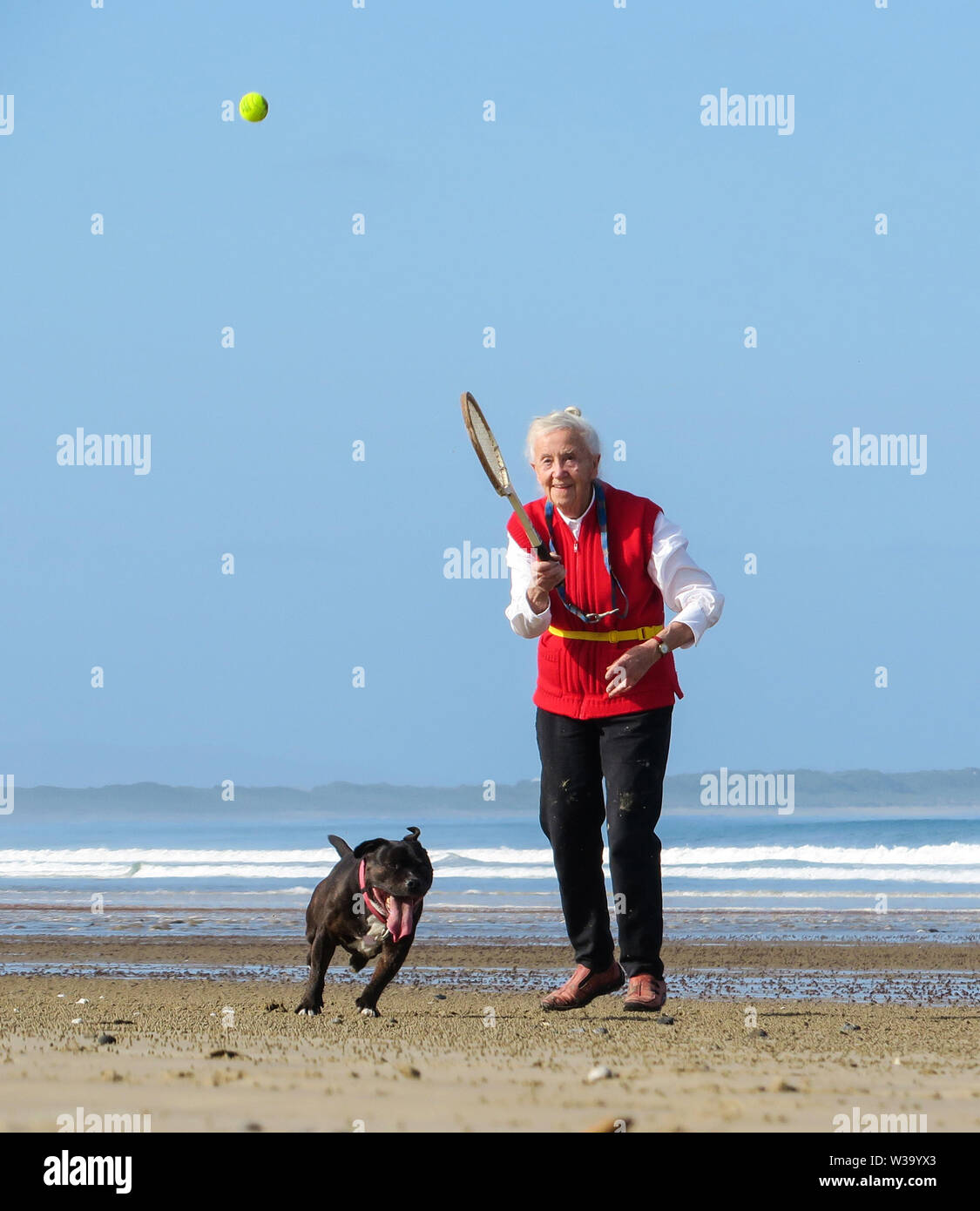 La diversión en la playa, como una mujer anciana golpea una pelota de tenis para su perro a chase en la arena. Foto de stock