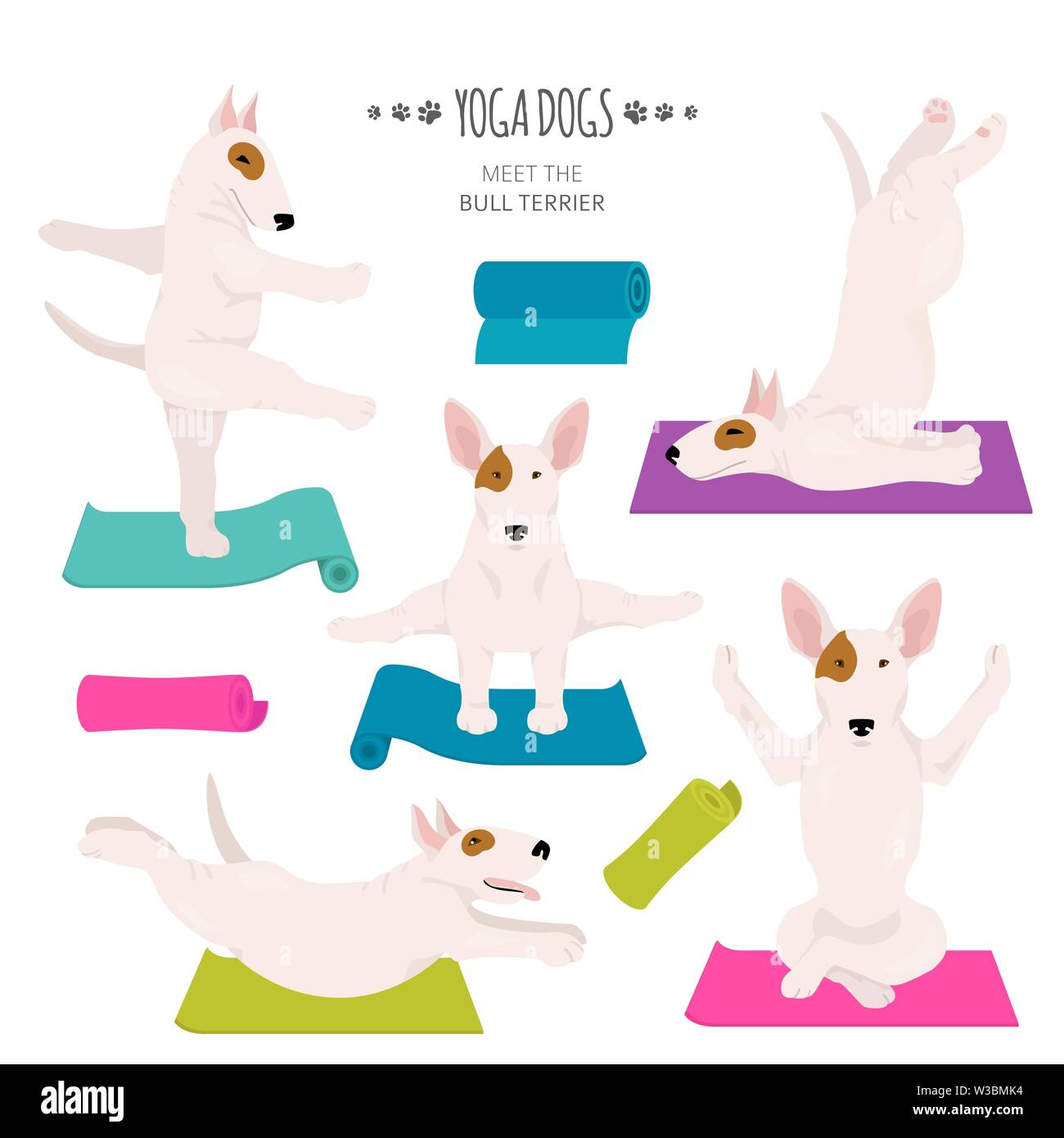 Los perros y los ejercicios de yoga plantea. Bull Terrier clipart. Ilustración vectorial Ilustración del Vector