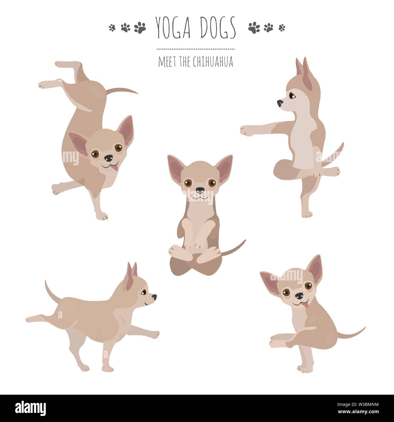 Los perros y los ejercicios de yoga plantea. Chihuahua clipart. Ilustración  vectorial Imagen Vector de stock - Alamy