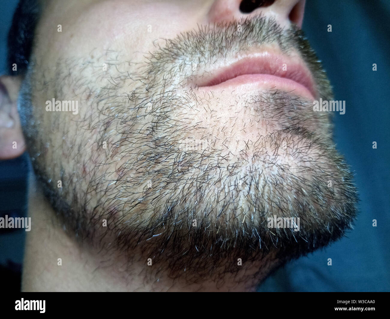 Rastrojo en la cara. Un hombre con una barba rubia corta. Barba corta  Fotografía de stock - Alamy