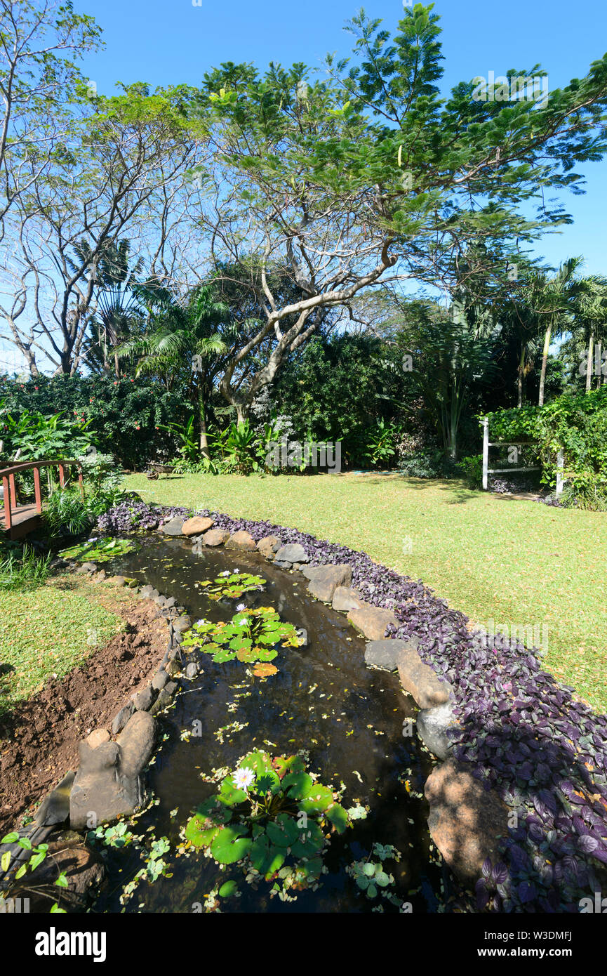 Vista escénica de Maire Nui Jardines Botánicos, Rarotonga, Islas Cook, Polinesia Foto de stock