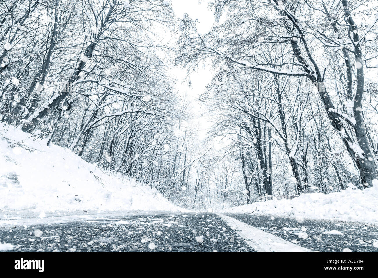 Bosque de invierno Snow Road. Forest Road ver nieve en invierno. Foto de stock