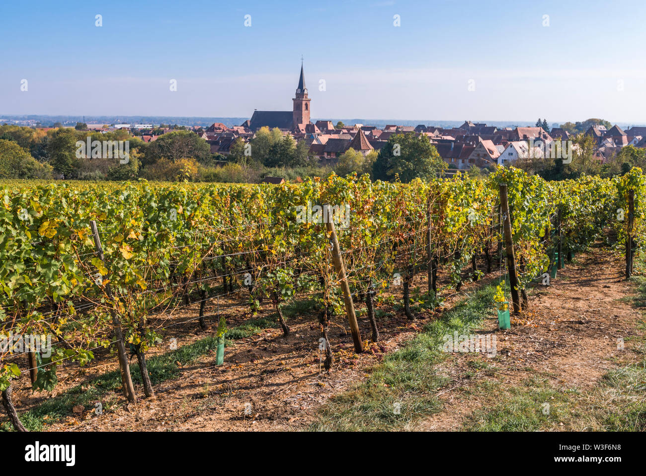 Visión idílica de la aldea Bergheim, La Ruta del Vino de Alsacia, Francia, el paisaje rural de viñas Foto de stock