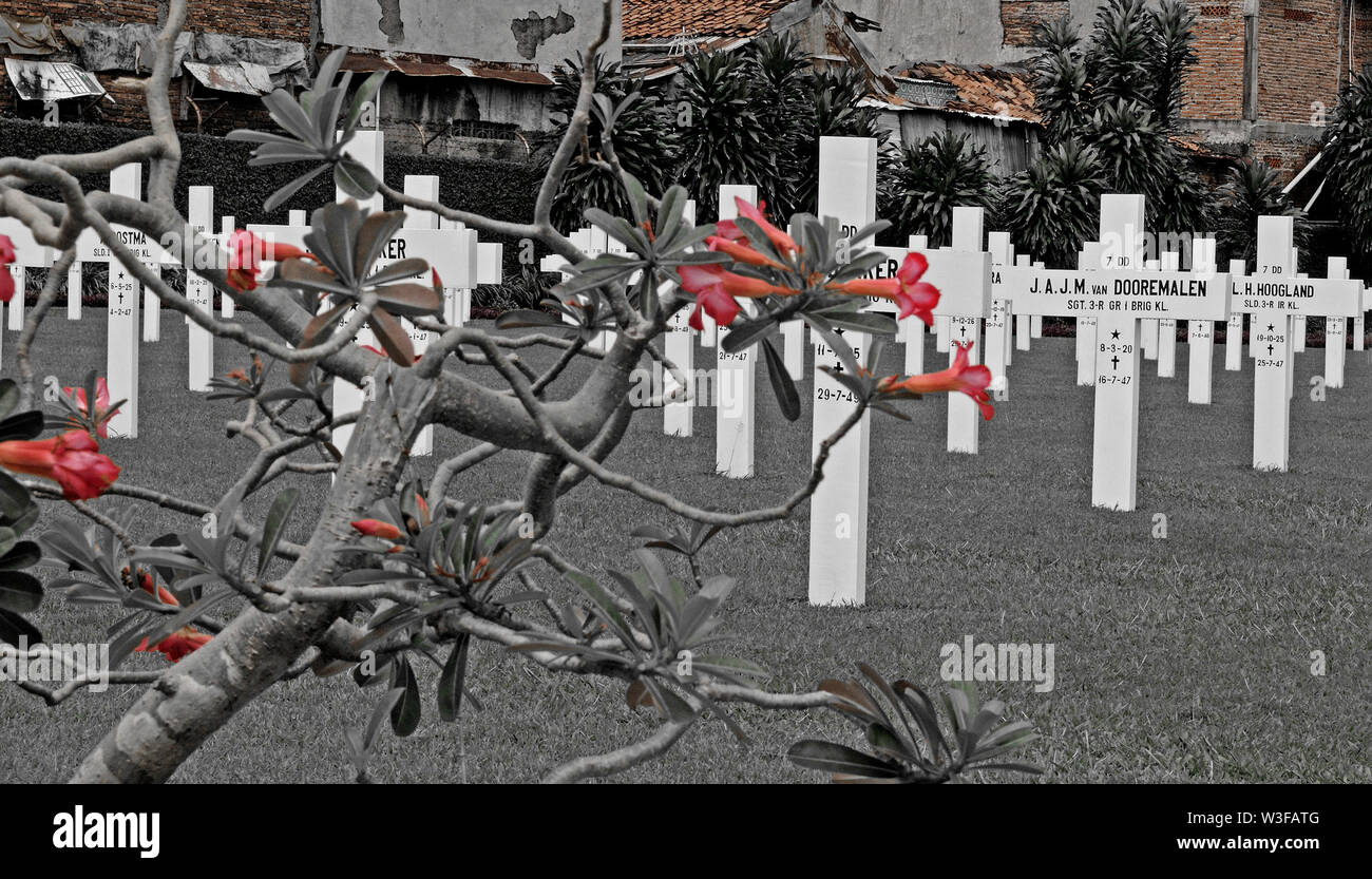 Z100181D (6968) - Yakarta - 2010-05-17 --- mo menteng - ereveld menteng pulo / taman makam kehormatan belanda - niederlaendischer soldatenfriedhof / k Foto de stock