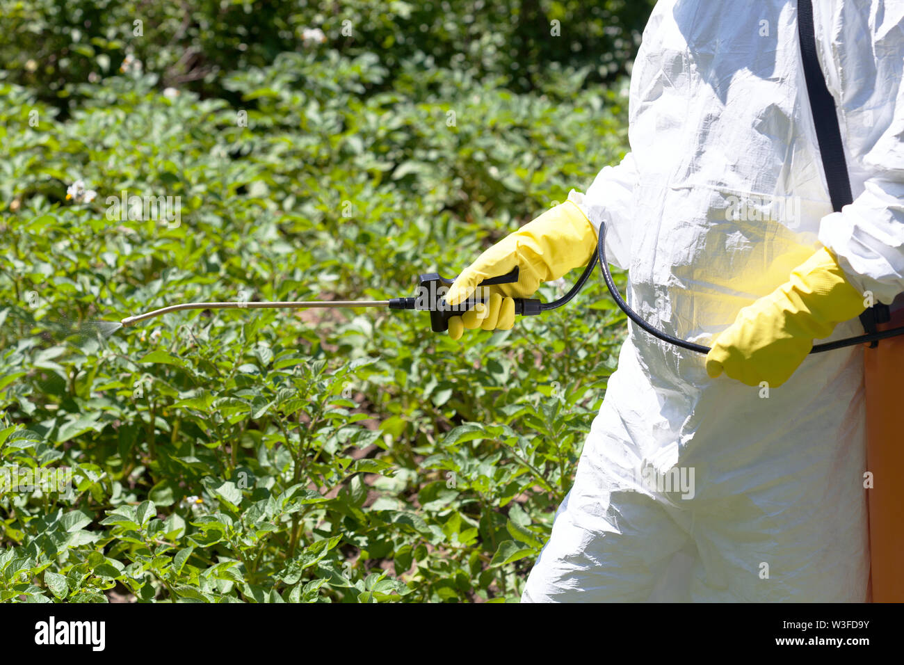 Los herbicidas, pesticidas o insecticidas de fumigación. No orgánica de  hortalizas Fotografía de stock - Alamy