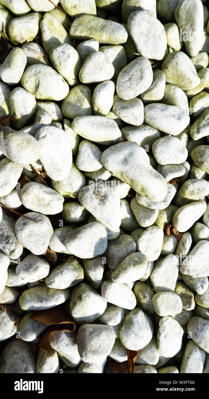 71.800+ Piedras Decorativas Para Jardin Fotografías de stock, fotos e  imágenes libres de derechos - iStock