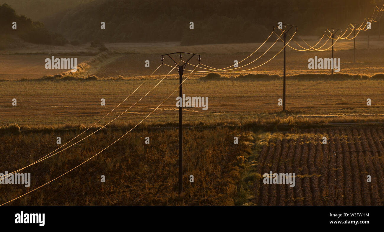 Cables telefónicos o telegráficos en un mundo rural Foto de stock