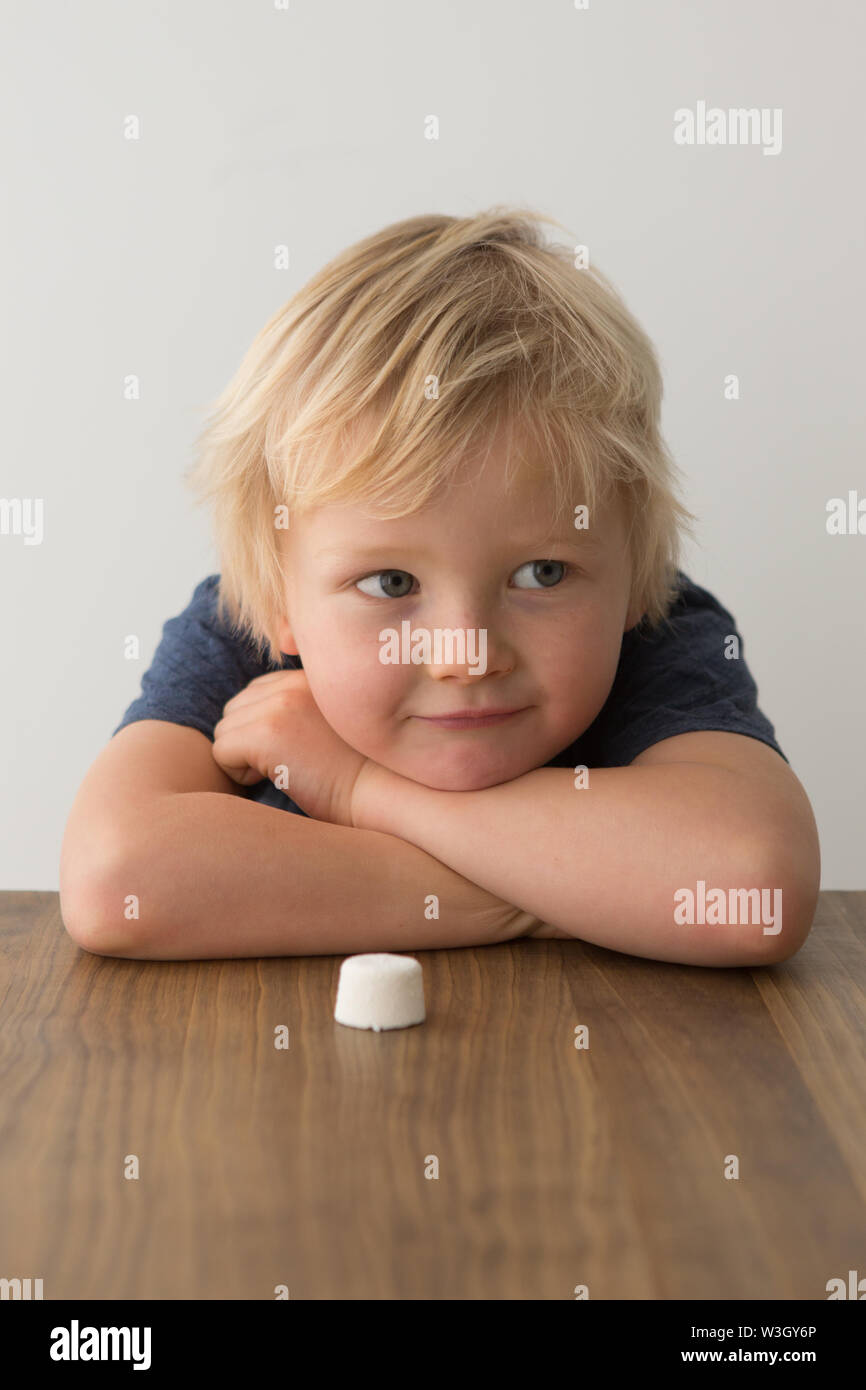 Un chico joven se sienta en una mesa con un único marshmallow, intentar la prueba de malvavisco Foto de stock