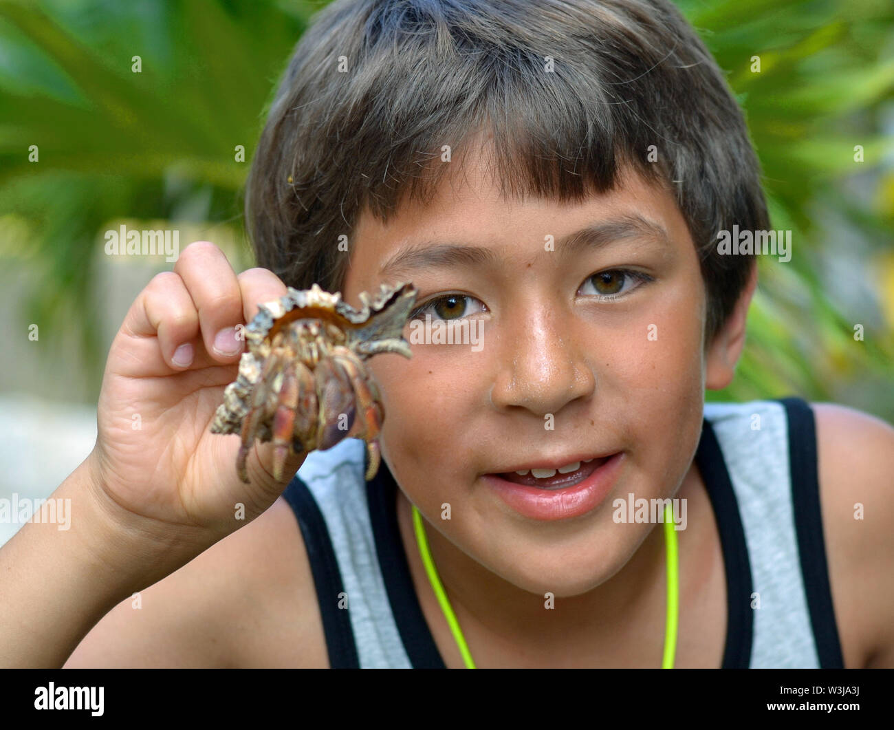 Cute Canadian mestizos boy (el Cáucaso y Asia Sudoriental) de vacaciones en Cuba sostiene un cangrejo ermitaño en una shell. Foto de stock