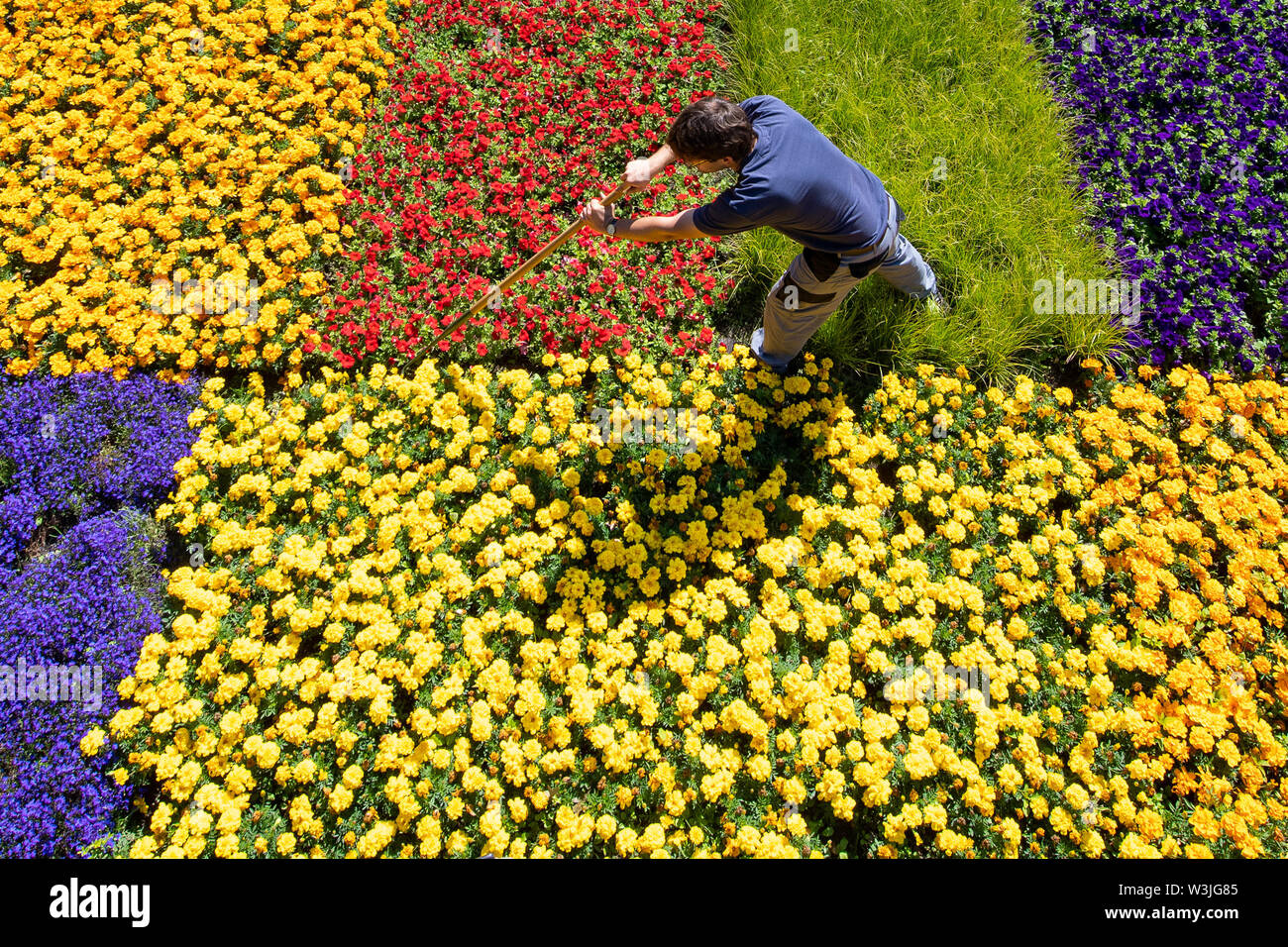 Lego flower fotografías e imágenes de alta resolución - Alamy