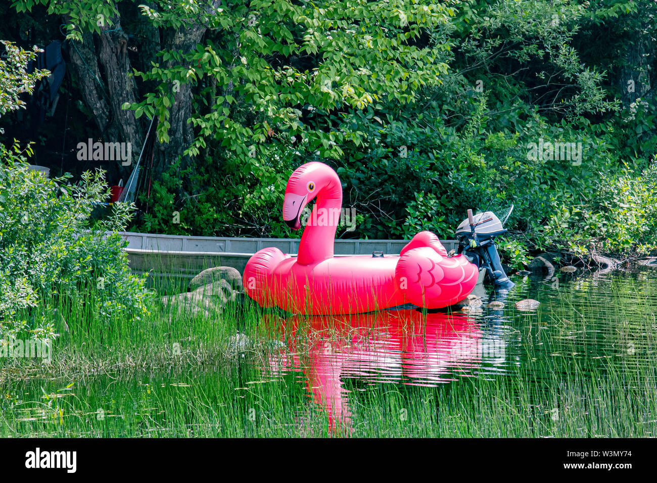 Un flamenco rosa de plástico grande balsa aparcado al lado de un bote de remos de aluminio con motor exterior sobre el lago Lewey en las montañas Adirondack, NY ESTADOS UNIDOS Foto de stock