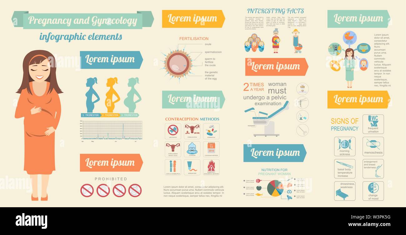 Ginecología Y Embarazo Infográfico Plantilla Elementos De La Maternidad Constructor Para Crear 8788