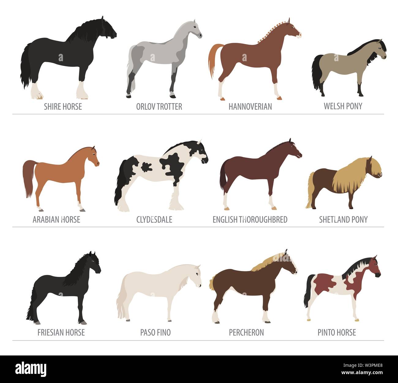 La cría del caballo conjunto de iconos. Los animales de granja. Diseño plano. Ilustración vectorial Ilustración del Vector