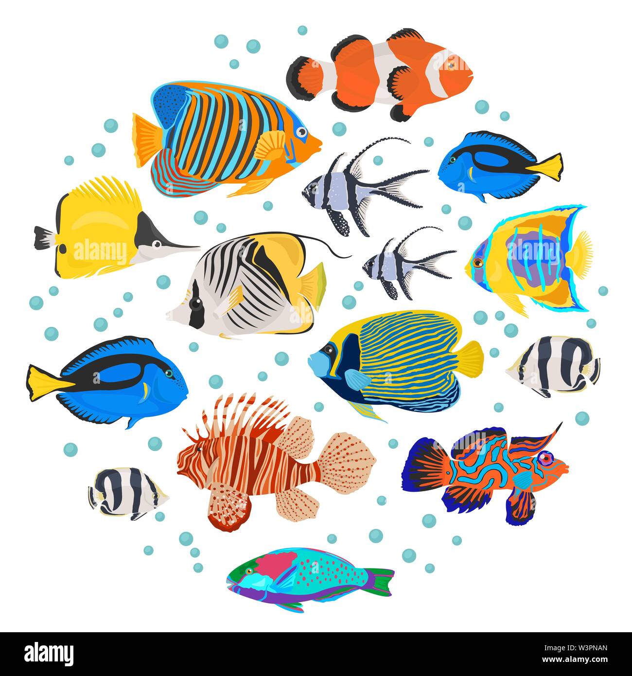 Las razas de peces de acuario de agua dulce conjunto de iconos de estilo plano aislado en blanco. Los arrecifes de coral. Cree su propio infográfico sobre pet. Ilustración vectorial Ilustración del Vector