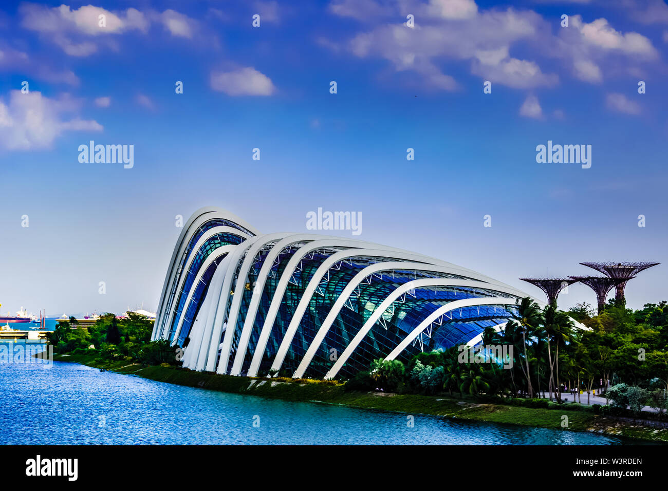 Singapur - Mar 15 , 2019: jardines junto a la bahía de Marina Bay con cúpula de flores, bosque nuboso, Supertree Grove y Marina Barrage en vista, Singapur. Foto de stock