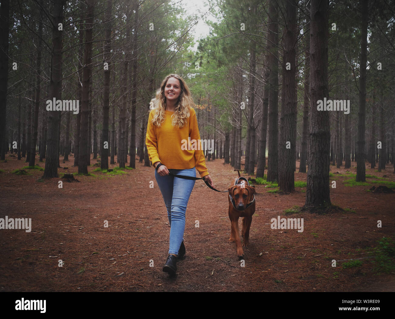 Joven Mujer rubia caminando con su perro en el bosque Foto de stock