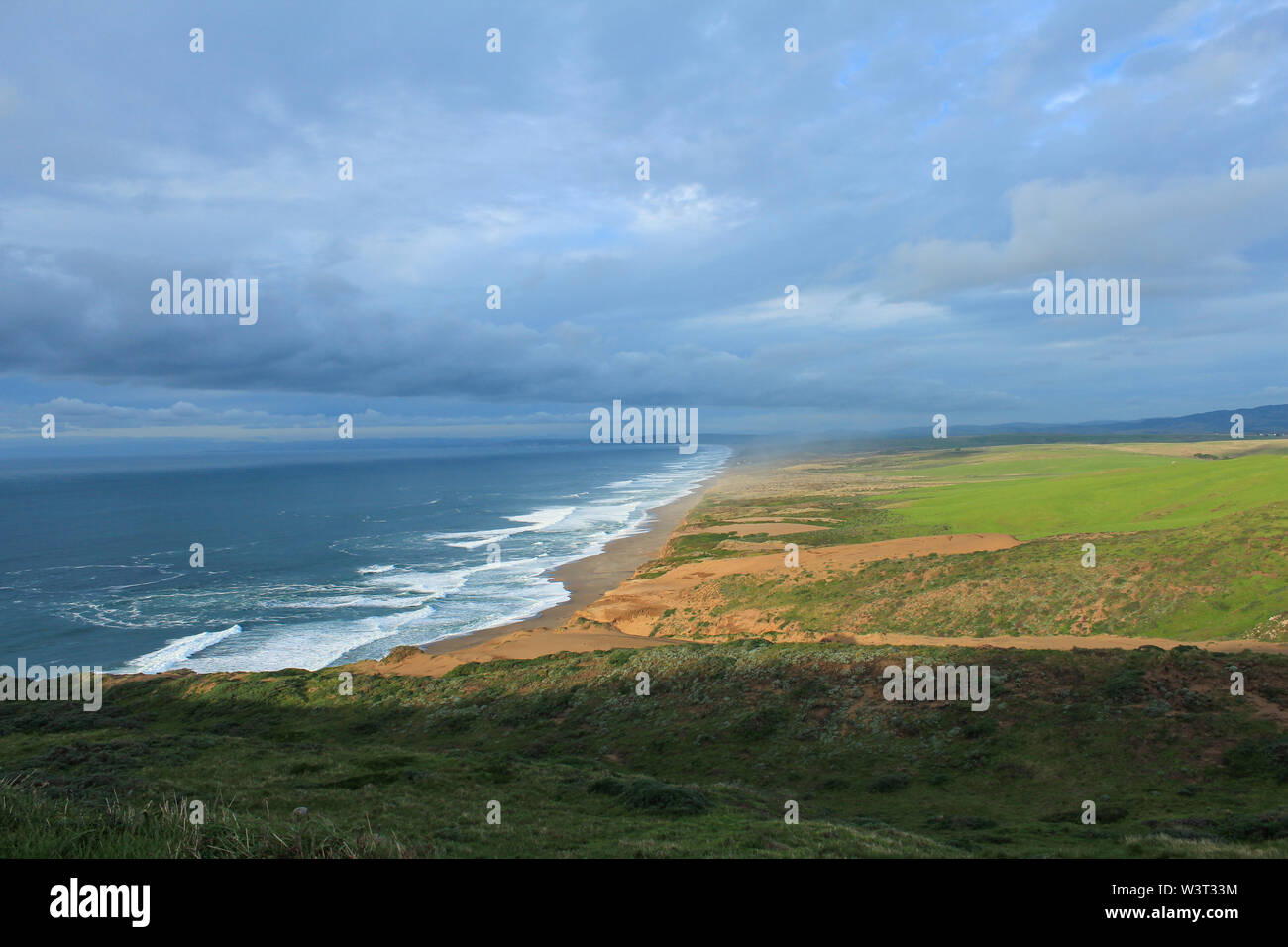 Point Reyes National Seashore, Marin County, California Foto de stock