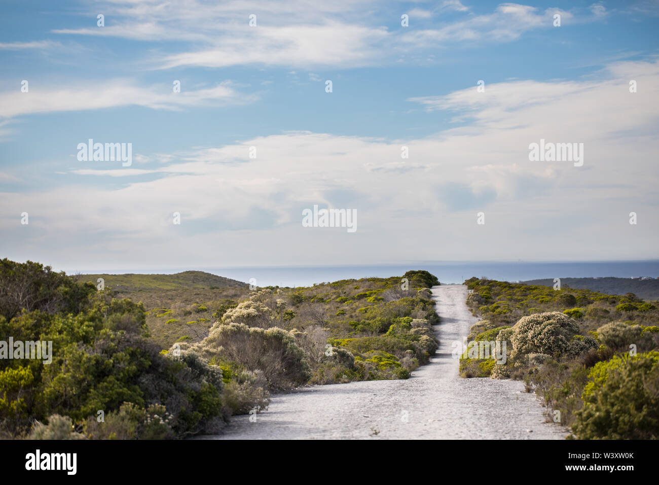 El Parque Nacional Agulhas protege hábitat fynbos y ofrece rutas de senderismo y playa cerca de Cape Agulhas, peinado, Western Cape, Sudáfrica. Foto de stock