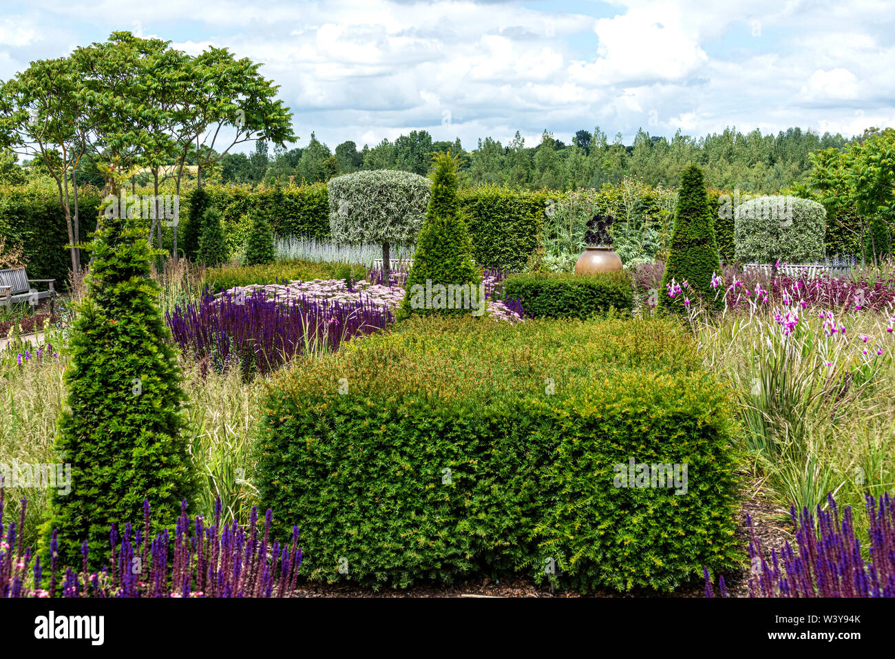 El país moderno en RHS Garden Hyde Hall, en verano. Una mezcla de topiary, cobertura y bordes herbáceos. Foto de stock