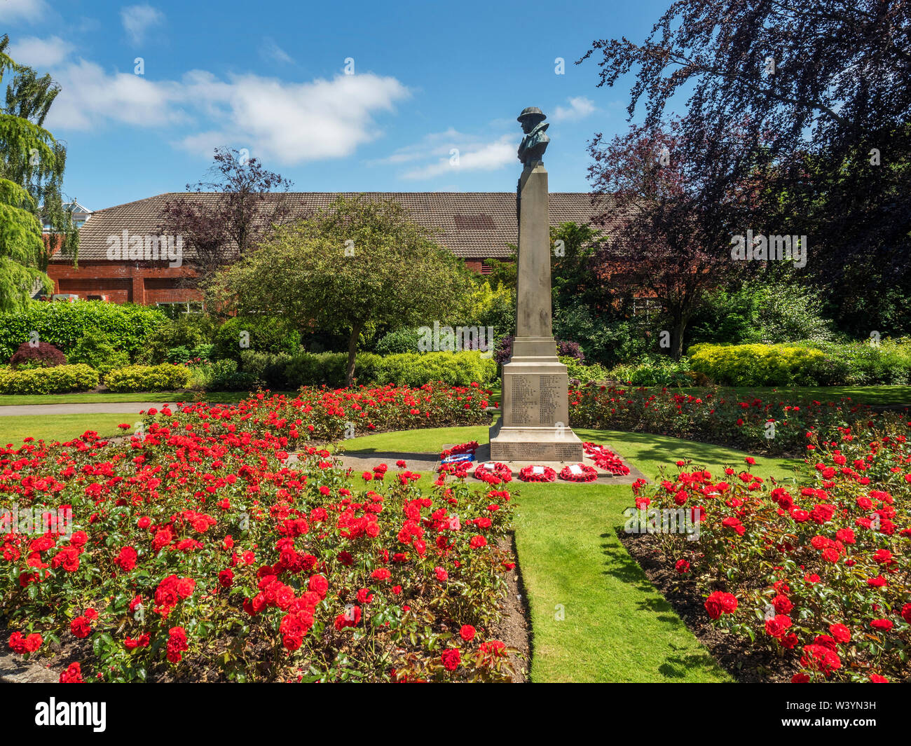 Rosas rojas alrededor del memorial de guerra en Ripon Spa Jardines Ripon North Yorkshire, Inglaterra Foto de stock