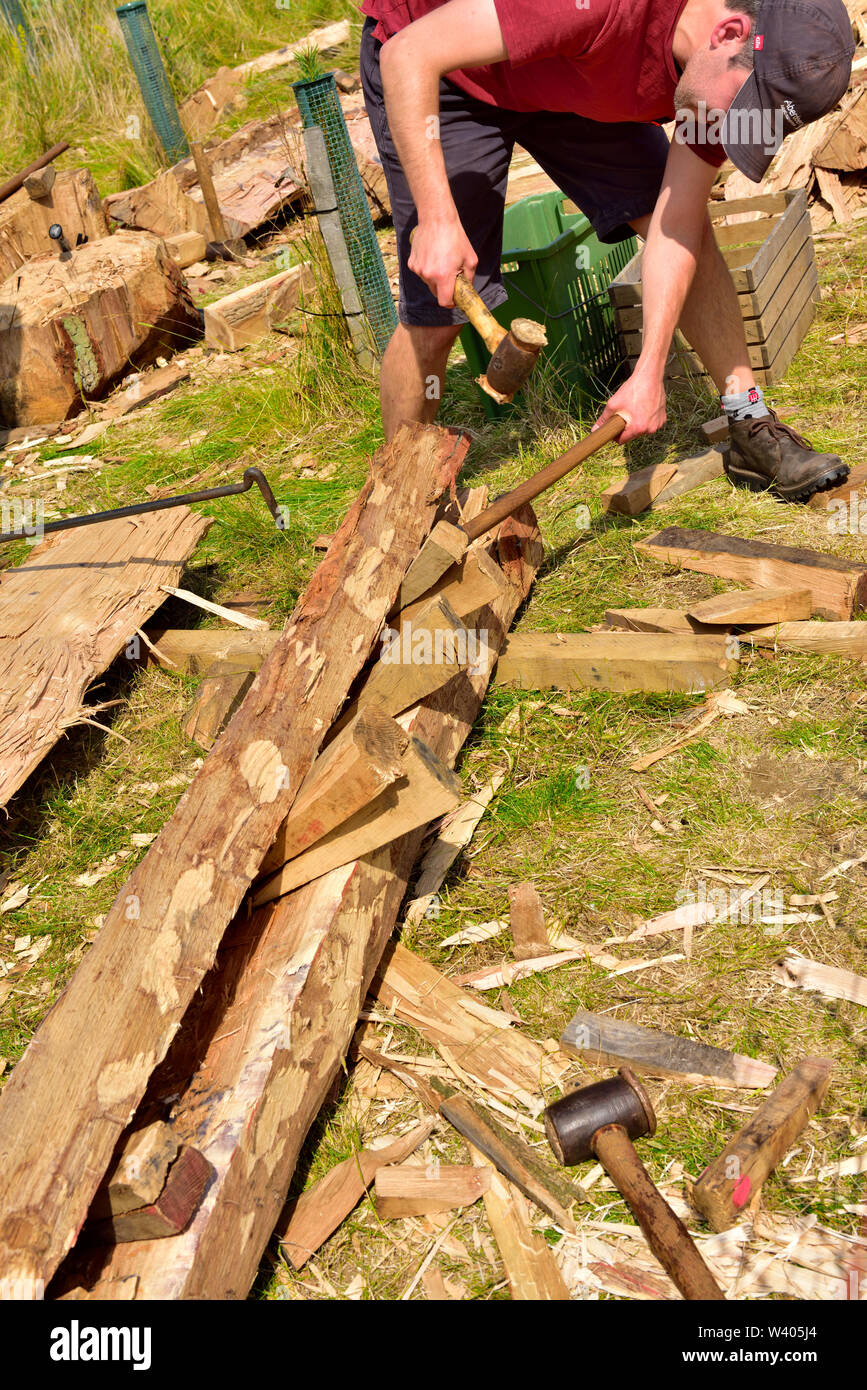 Hombre utilizando cuñas de madera para dividir un registro a lo largo de su longitud para ser utilizados en la construcción de marcos de madera como una viga Foto de stock