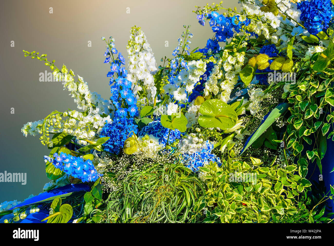 Hermosa composición floral de color blanco y azul, hortensias, delphiniums anthuriums y variopinta hojas de plantas ornamentales precioso bouquet de Foto de stock