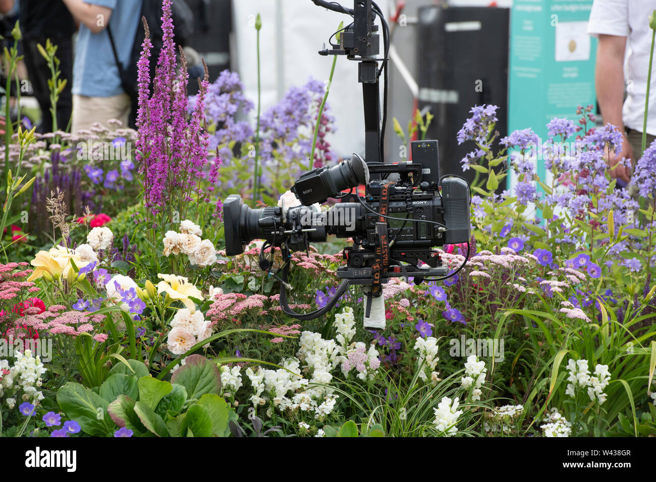 BBC Mundo jardineros cámara sobre un brazo de grúa en un show garden en RHS Tatton Park Flower Show 2019. Tatton Park, Knutsford, Cheshire, Inglaterra Foto de stock